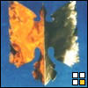 Custom avatar